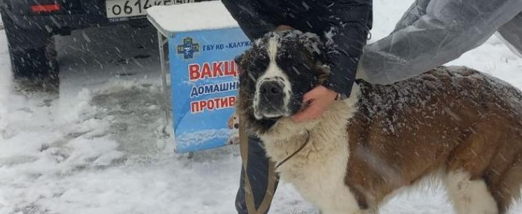 Комитет ветеринарии при Правительстве Калужской области