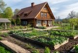 Попросил жениха внучки помочь в огороде, а он обиделся. Теперь она винит меня в ссоре с парнем