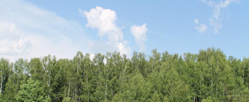 Фото: Kaluga-poisk.ru