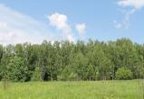 Фото: Kaluga-poisk.ru Фото: Kaluga-poisk.ru