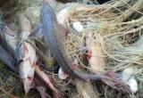 прокуратуры Калужской области 