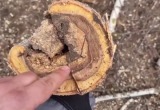 управление городского хозяйства Калуги