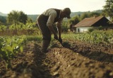 Муж не успевает ничего делать по дому, потому что пашет на даче свекрови. А отказать маме он не может