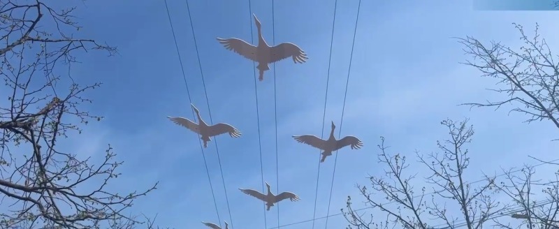Скриншот с видео, Управление городского хозяйства города Калуги