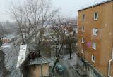 Фото: Kaluga-poisk.ru Фото: Kaluga-poisk.ru