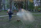 Городское хозяйство Калуги