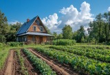 Свекровь подарила нам с мужем свою дачу, а теперь недовольна, что мы там все переделали