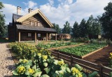 Жена постоянно выдумывает нам дачные дела, а я просто хочу отдохнуть