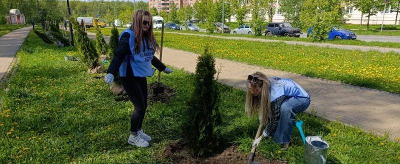 Городское хозяйство Калуги