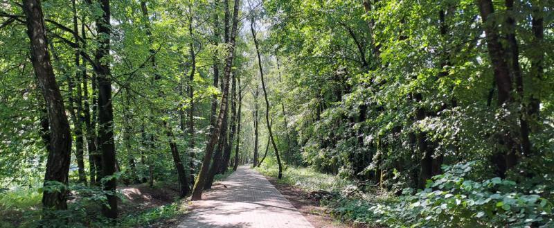 Фото: Kaluga-poisk.ru