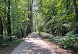 Фото: Kaluga-poisk.ru Фото: Kaluga-poisk.ru