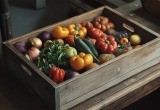 Предприимчивая свекровь продала треть нашего урожая соседям