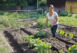 Не желала работать на даче, но свекровь-манипулятор умудрилась меня заставить