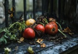 Свекровь так огорчилась из-за беспорядка, что выкинула с балкона кучу гнилых вонючих овощей