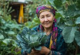 Жена привезла в гости на дачу подругу, а та накинулась на наш урожай, как саранча. Еле остановил эту халявщицу