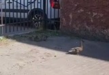 Калуга-Поиск Калуга-Поиск