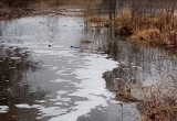 прокуратуры Калужской области прокуратуры Калужской области