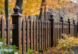 Фото редакции Kaluga-poisk.ru Фото редакции Kaluga-poisk.ru