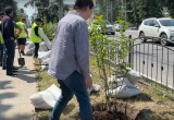 управление городского хозяйства Калуги управление городского хозяйства Калуги