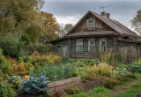 Сестра ополчилась на меня за то, что я заставила ее детей работать у меня в огороде4