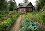 За каждое ругательство отправляю детей и мужа на грядки. И язык подтянули, и огород в идеальном состоянии