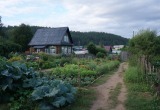 Купили свекрови дачу. А она вместо огородных работ целыми днями у нас на соседнем участке торчит