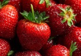 Муж скормил племянникам редкую клубнику, которую я пестовала три года