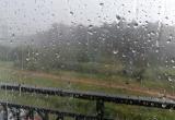 Фото: Kaluga-poisk.ru Фото: Kaluga-poisk.ru