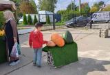 Фото: Kaluga-poisk.ru