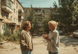Соседка выкопала во дворе два куста и забрала на дачу. А когда я упрекнула её, устроила скандал