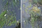 прокуратуры Калужской области 