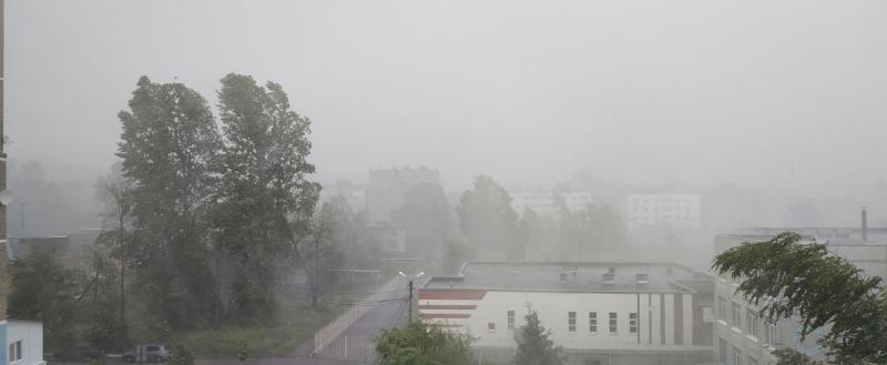 Фото: Kaluga-poisk.ru