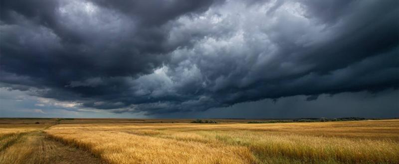 Фото: Kaluga-poisk.ru