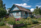 Соседка по даче вообще обнаглела – запрещает мне ходить в купальнике по участку