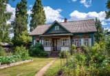 У тёщи на огороде перец еле растёт, а она всё поливает его какими-то отварами, а не нормальными удобрениями