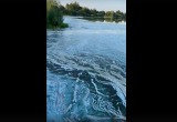 подписчика паблика "РИЦ Боровский район"