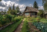 Купила дачу, чтобы была отмазка не пахать каждое лето на огороде свекрови