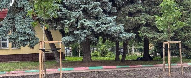 городская управа Калуги