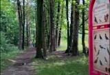 правительства Калужской области