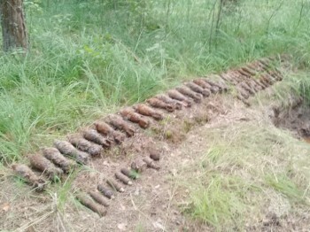 В калужском лесу нашли схрон из 56 мин, снарядов и гранат