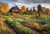 Хочу сохранить дачный участок отца, а моя молодая жена хочет продать его