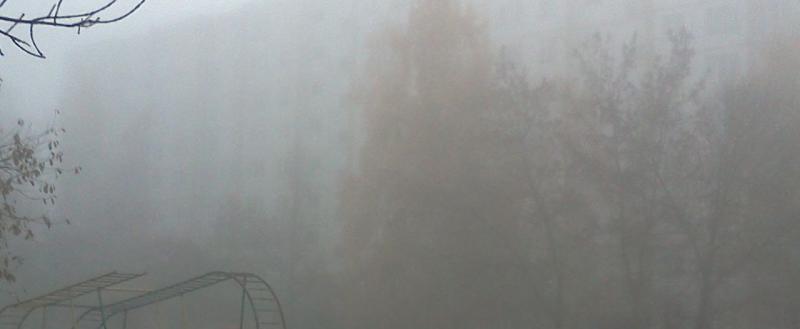 Фото: Kaluga-poisk.ru