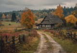 Соседи перекидывали к нам на участок свои кабачки, а потом возмущались, что мы их не едим