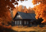 Попросили у свекра совета по ремонту дачи, а он мигом взял на себя роль прораба