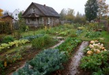 Свёкор на даче не даёт никому расслабиться ни на секунду. Но мы приезжаем отдыхать, а не повинность отбывать