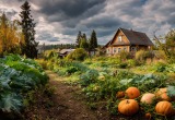 Дети, несмотря на наши протесты, купили старый частный дом, а деньги в его починку вкладываем мы