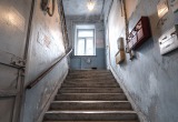 Соседка приютила котят прямо на лестничной клетке, а мы теперь задыхаемся от вони