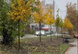 Дмитрия Денисова 