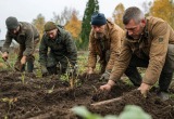 Тесть решил мне помочь на даче и дал помощников с работы. Так эти умельцы испортили английский газон