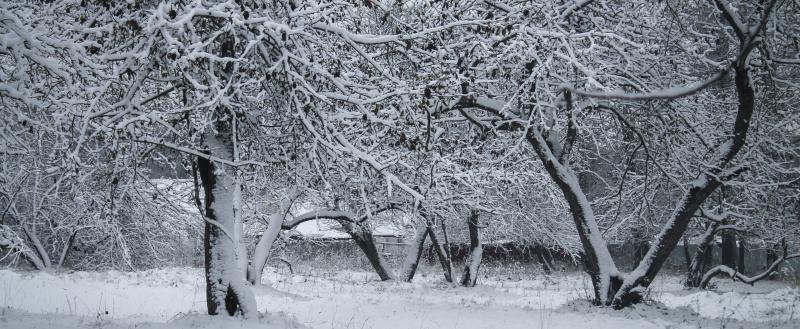 Фото: Kaluga-poisk.ru